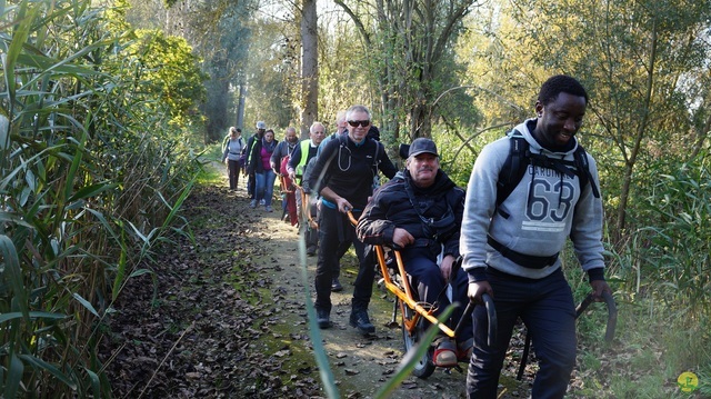 Randonnée joëlettes à Hollogne