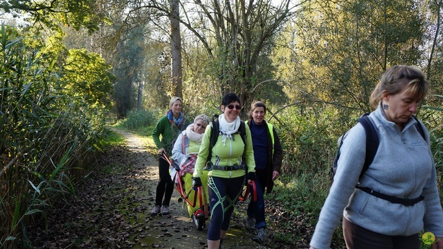 Randonnée joëlettes à Hollogne