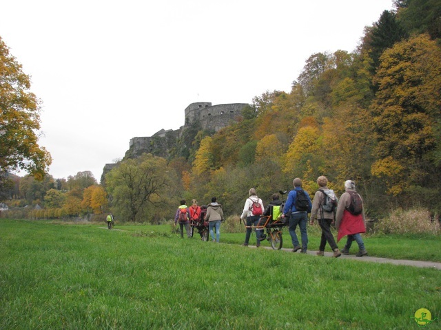 Randonnée joëlettes à Bouillon