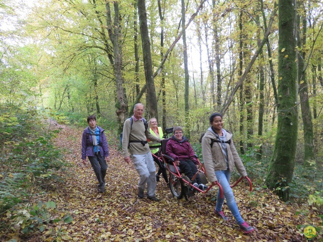 Randonnée joëlettes à Bouillon