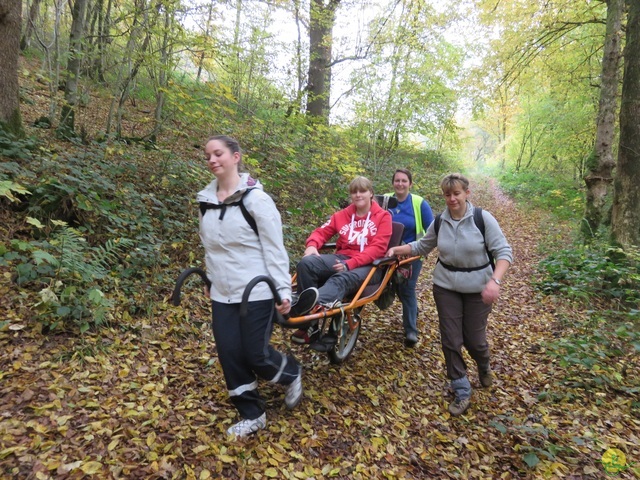 Randonnée joëlettes à Bouillon