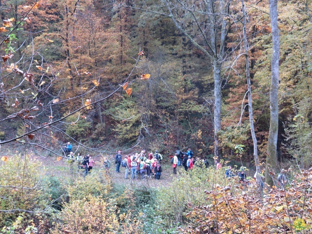 Randonnée joëlettes à Bouillon