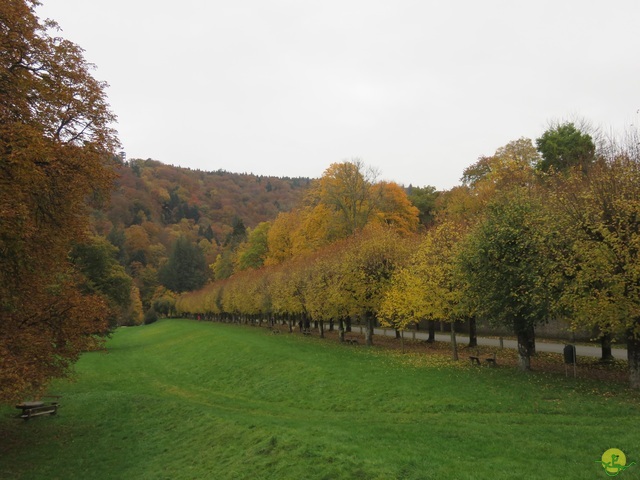 Randonnée joëlettes à Bouillon