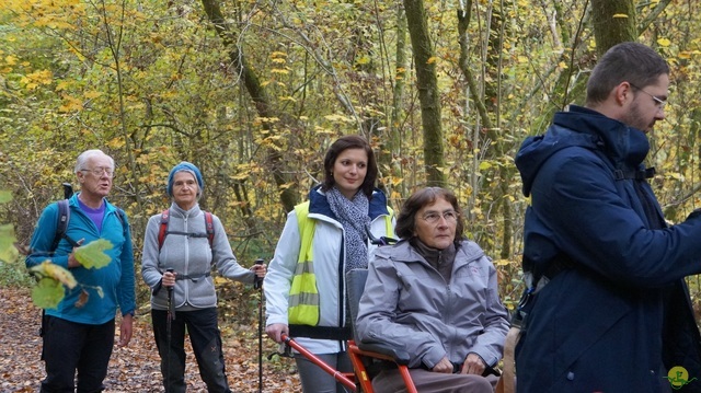 Randonnée joëlettes à Bouillon