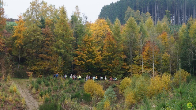 Randonnée joëlettes à Bouillon