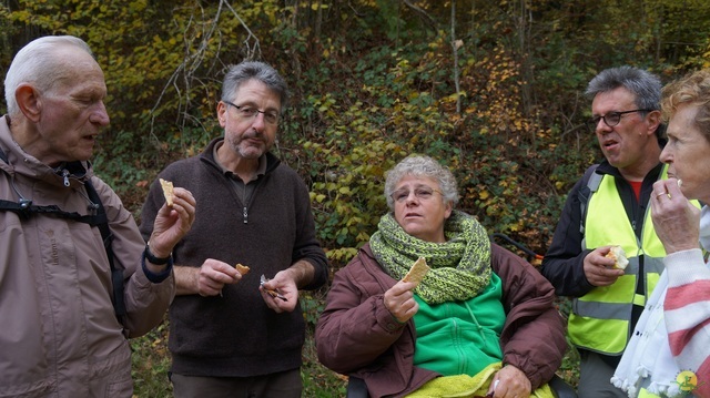 Randonnée joëlettes à Bouillon