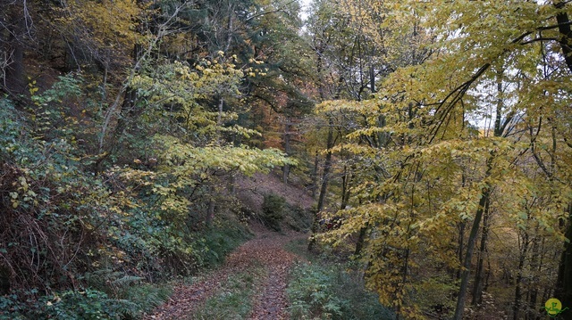 Randonnée joëlettes à Bouillon