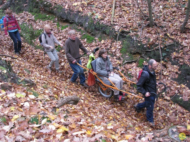 Randonnée joëlettes à Ohain