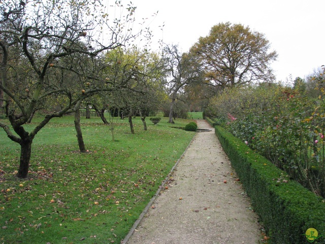 Randonnée joëlettes à Ohain