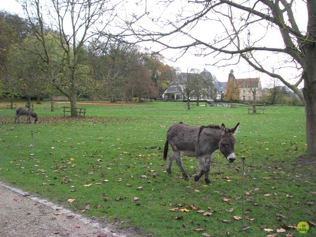 Randonnée joëlettes à Ohain