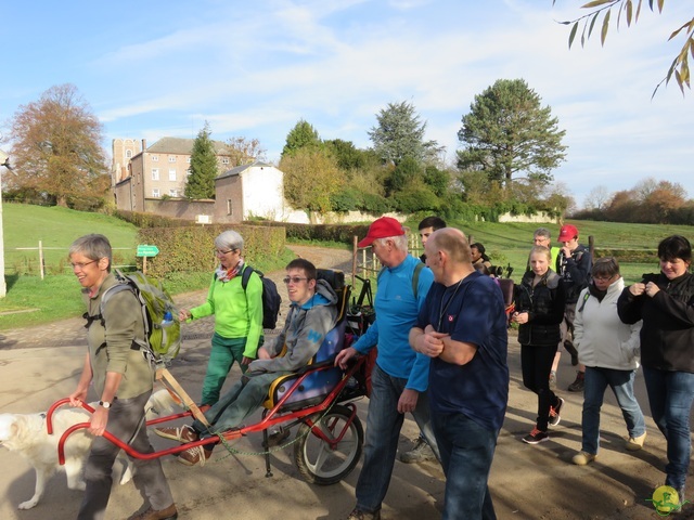 Randonnée joëlettes à Ohain