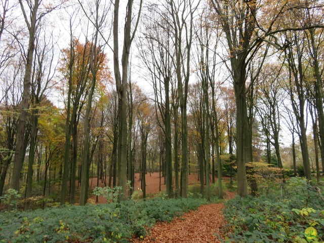 Randonnée joëlettes à Ohain