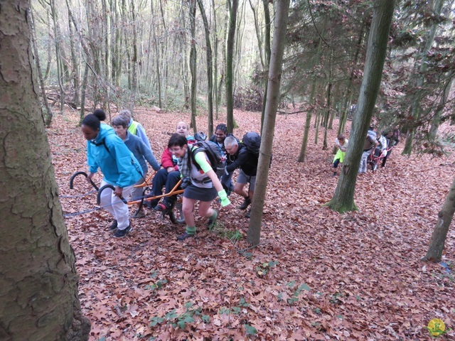 Randonnée joëlettes à Ohain