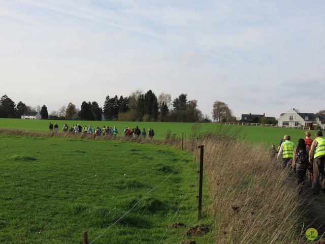 Randonnée joëlettes à Ohain