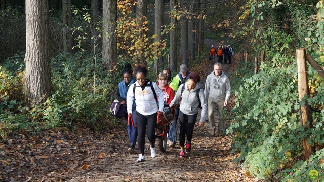 Randonnée joëlettes à Ohain