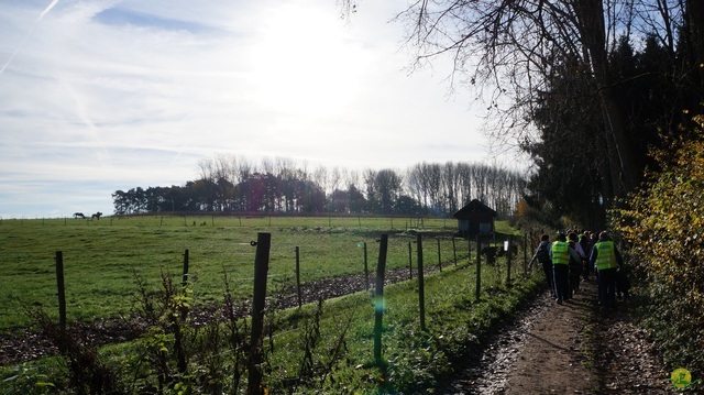 Randonnée joëlettes à Ohain