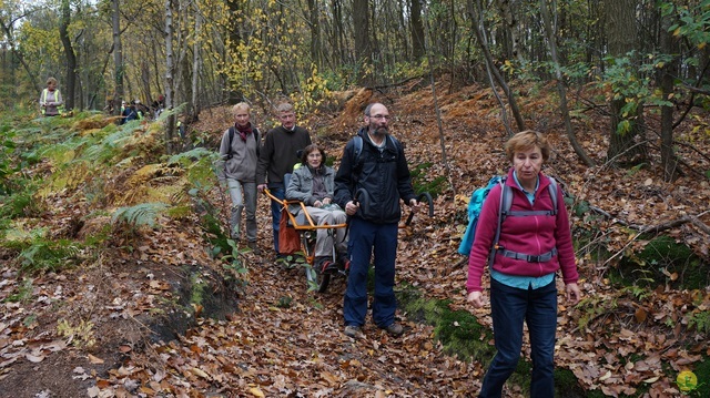 Randonnée joëlettes à Ohain