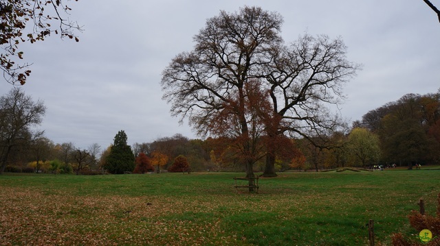 Randonnée joëlettes à Ohain