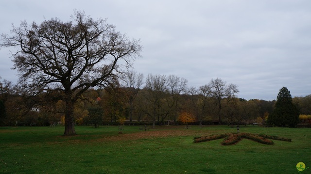 Randonnée joëlettes à Ohain