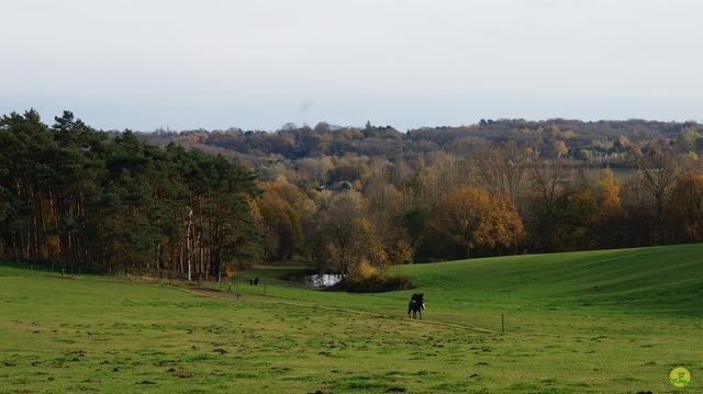 Randonnée joëlettes à Ohain