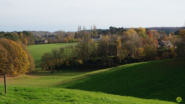 Randonnée joëlettes à Ohain