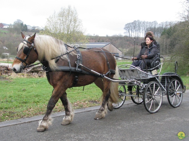 Randonnée joëlettes à Gedinne