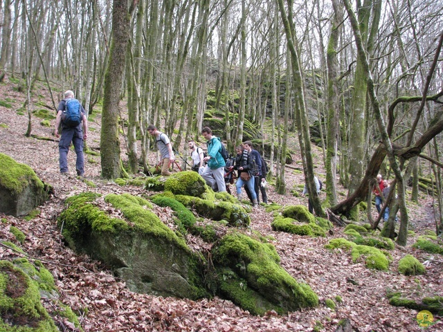 Randonnée joëlettes à Gedinne