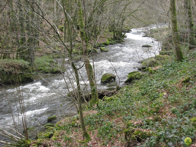 Randonnée joëlettes à Gedinne