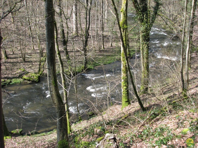 Randonnée joëlettes à Gedinne