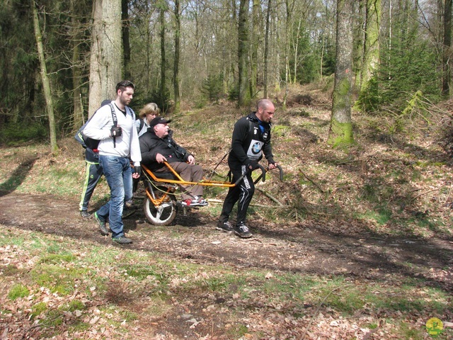 Randonnée joëlettes à Gedinne