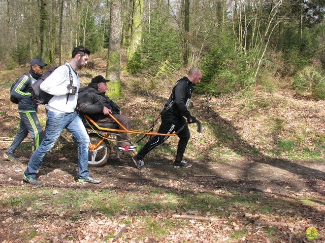 Randonnée joëlettes à Gedinne