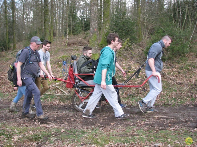 Randonnée joëlettes à Gedinne