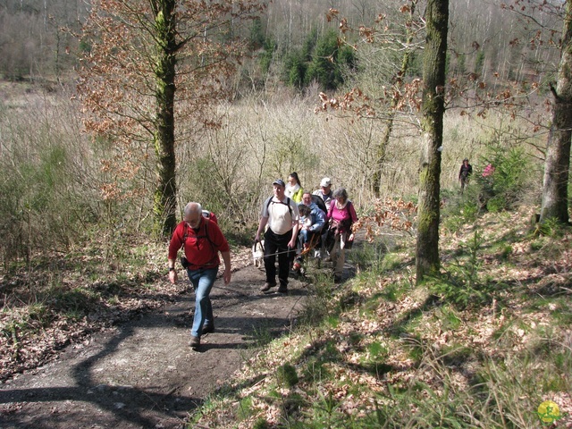 Randonnée joëlettes à Gedinne