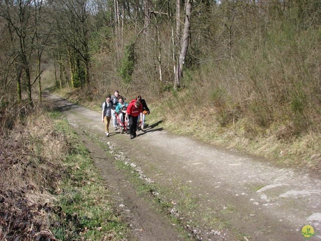 Randonnée joëlettes à Gedinne