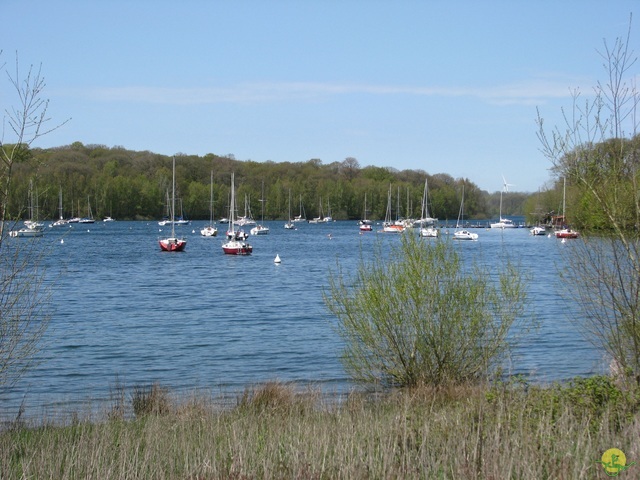 Randonnée joëlettes à Cerfontaine