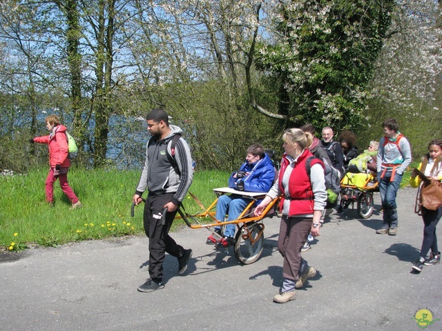 Randonnée joëlettes à Cerfontaine