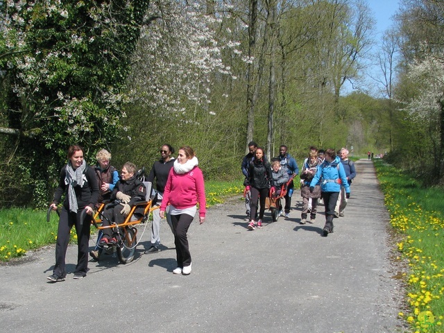 Randonnée joëlettes à Cerfontaine