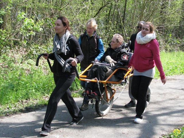 Randonnée joëlettes à Cerfontaine