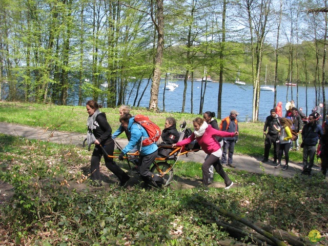 Randonnée joëlettes à Cerfontaine