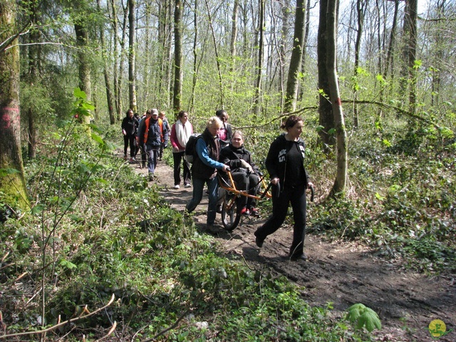 Randonnée joëlettes à Cerfontaine