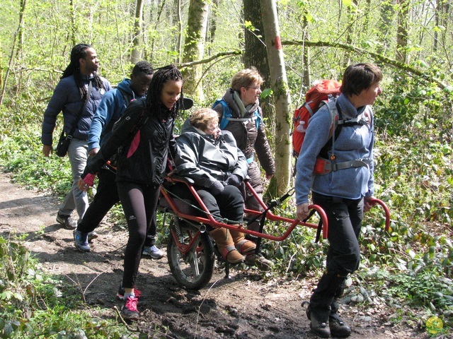 Randonnée joëlettes à Cerfontaine