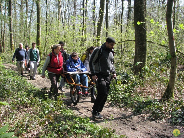 Randonnée joëlettes à Cerfontaine