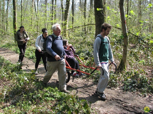 Randonnée joëlettes à Cerfontaine