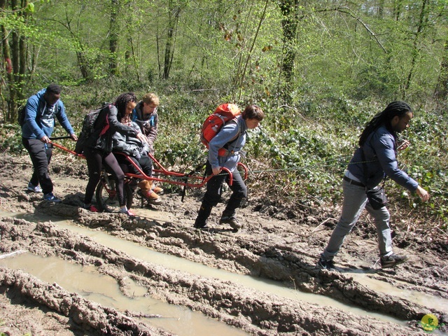 Randonnée joëlettes à Cerfontaine