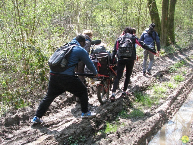 Randonnée joëlettes à Cerfontaine