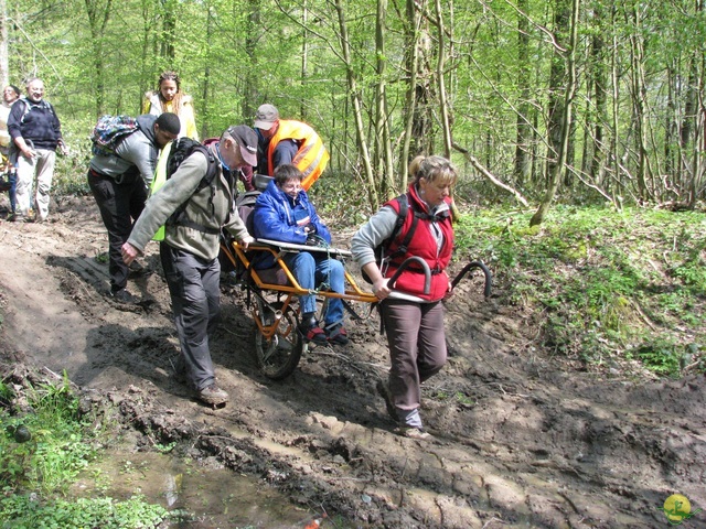 Randonnée joëlettes à Cerfontaine