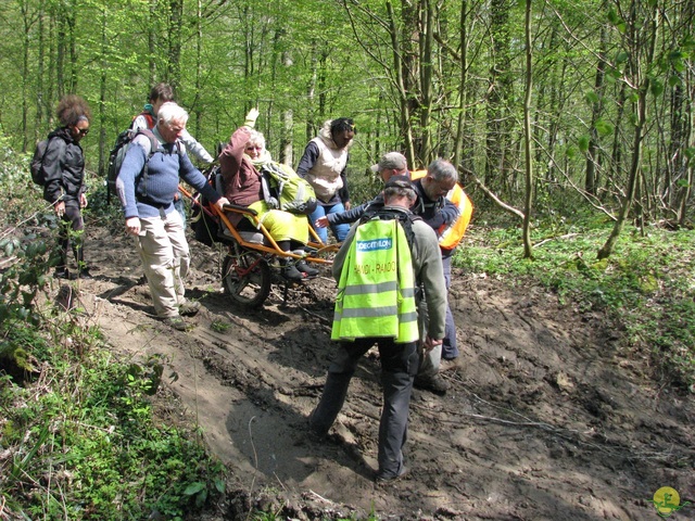 Randonnée joëlettes à Cerfontaine