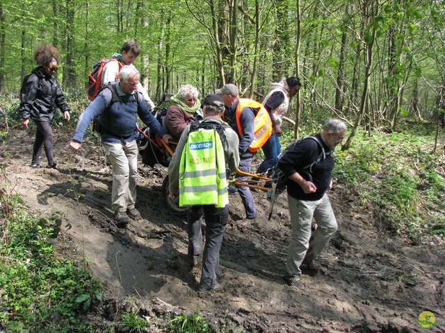 Randonnée joëlettes à Cerfontaine