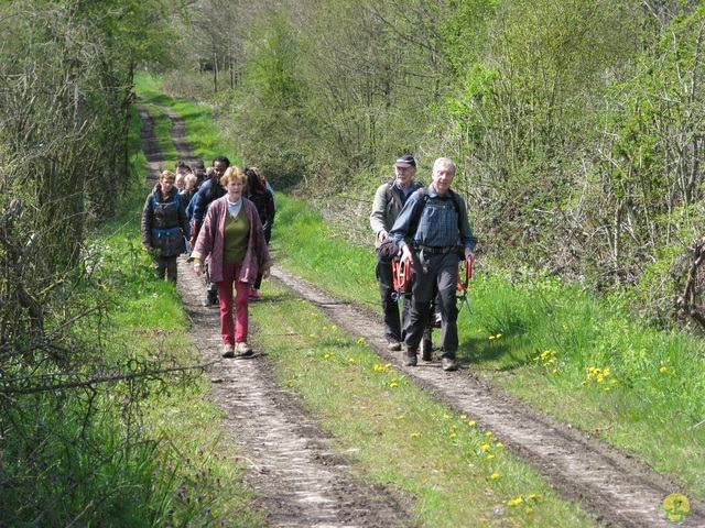 Randonnée joëlettes à Cerfontaine