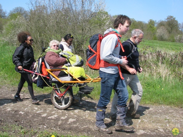 Randonnée joëlettes à Cerfontaine